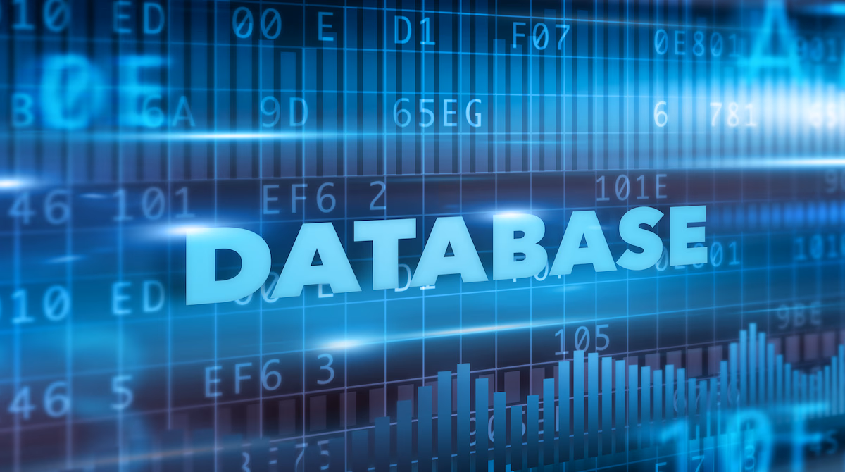 Database